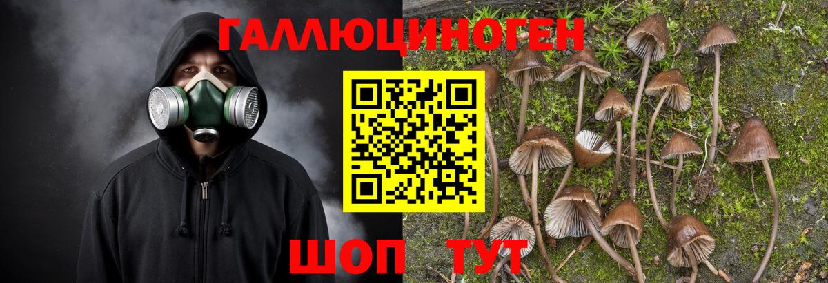Псилоцибиновые грибы GOLDEN TEACHER Троицк