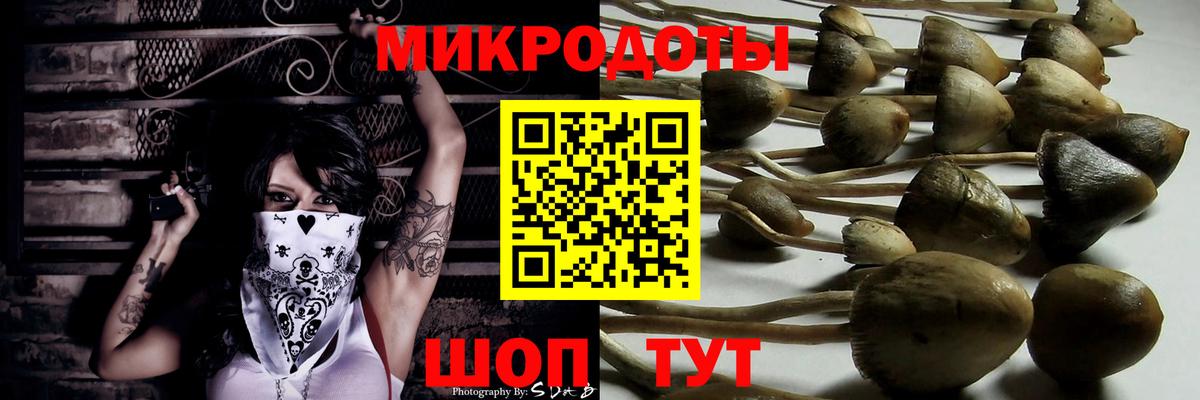 Троицк  Галлюциногенные грибы Psilocybine cubensis  наркошоп  Вход с VPN 
